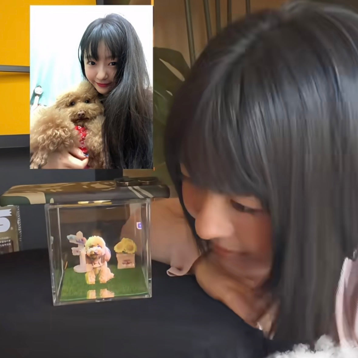 Let’s Welcome Pinka Home Again With Pet 3D Hologram Box!!